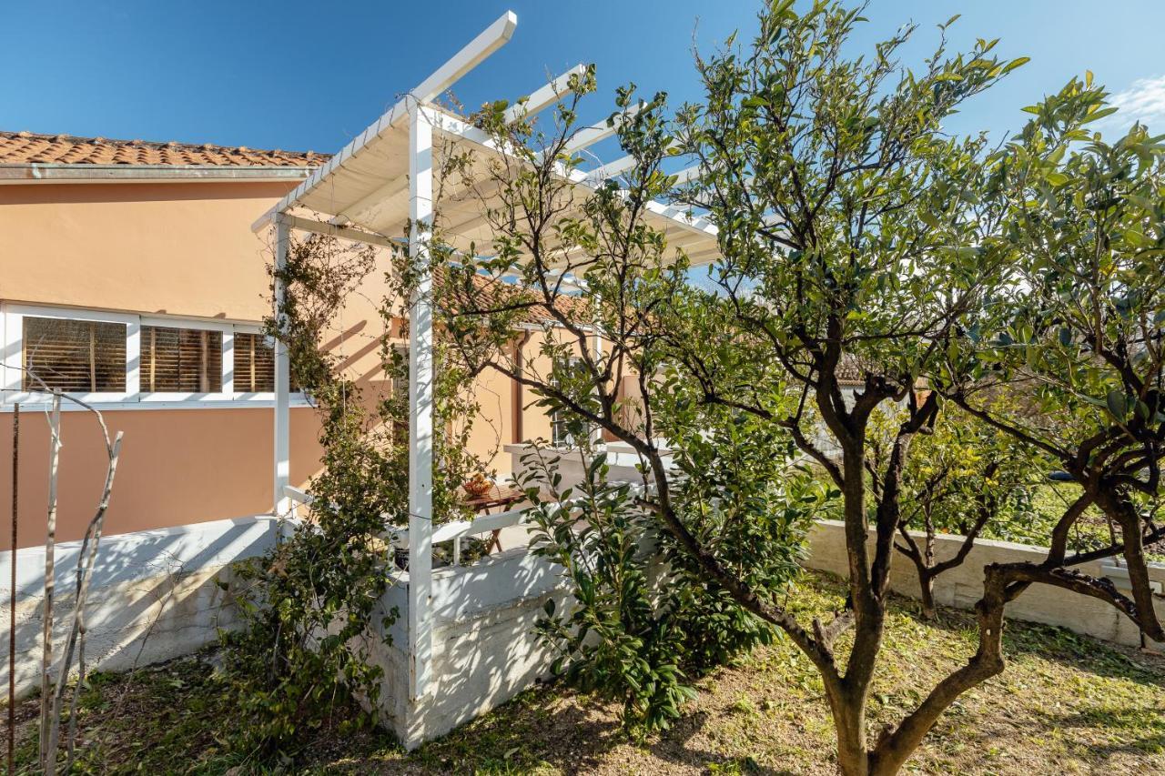 Stylish Mini-House With Garden & Beach Bijela Zewnętrze zdjęcie